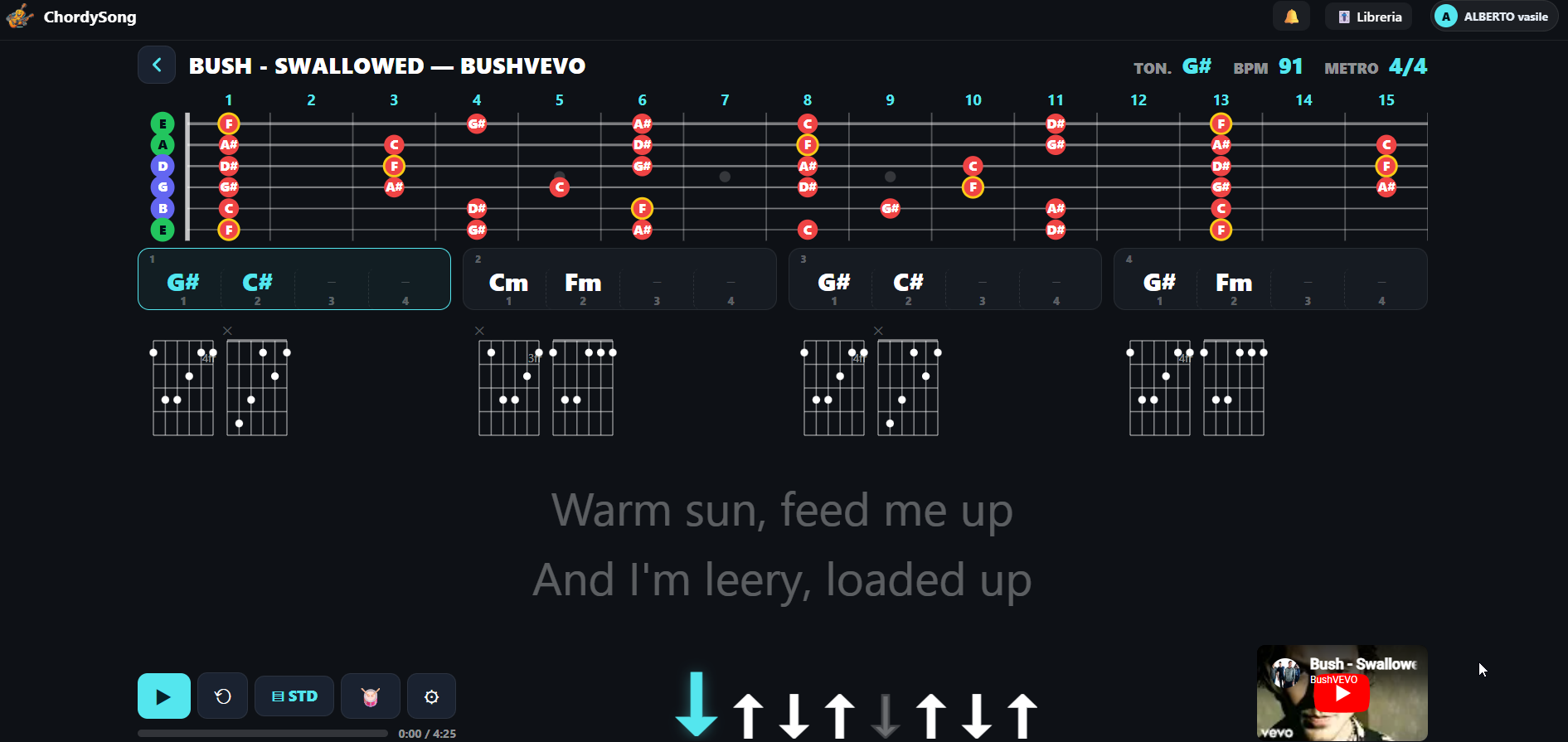 ChordySong su desktop: manico, accordi, griglia e testo sincronizzati al video